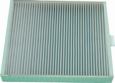 AF-FDM06